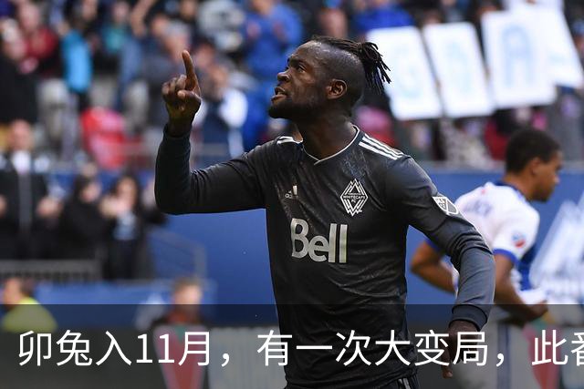 卯兔入11月，有一次大变局，此番转折宜静不宜动，心中有数别声张