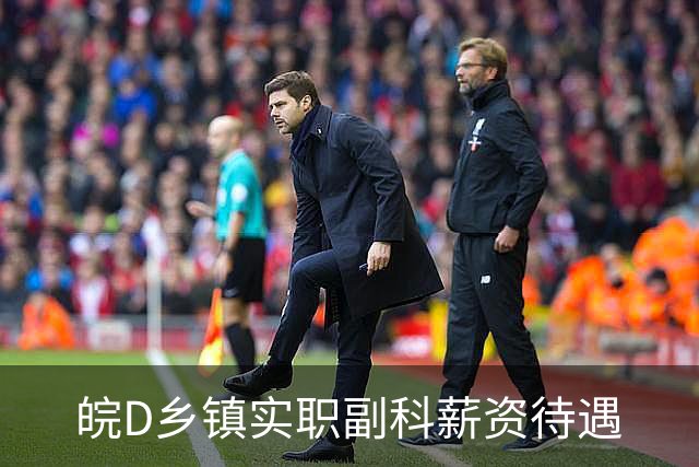 皖D乡镇实职副科薪资待遇