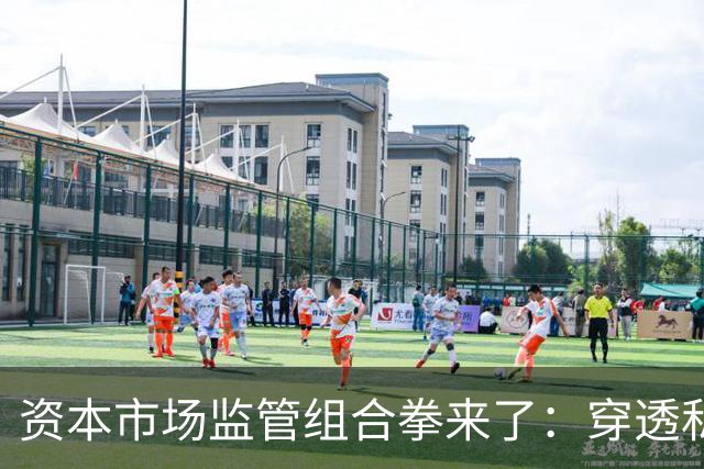 资本市场监管组合拳来了：穿透私募、约束AI、严打减持、畅通赔付