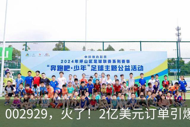 002929，火了！2亿美元订单引爆三连板，两家机构“快进快出”